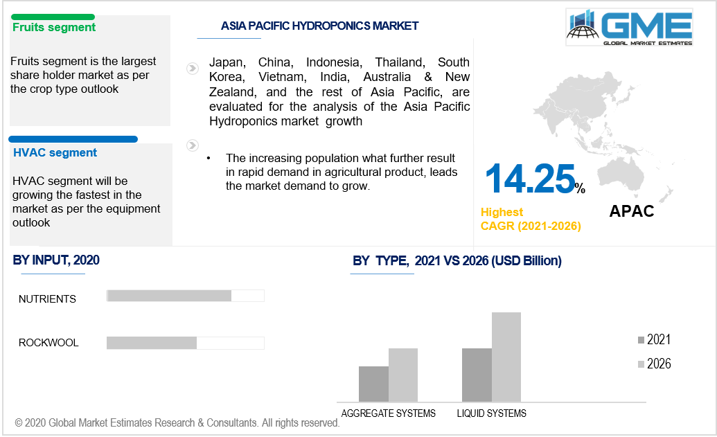 asia pacific hydroponics market